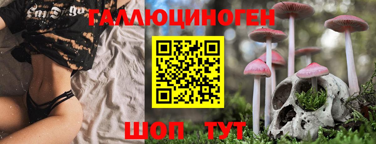 Галлюциногенные грибы Psilocybine cubensis  Вход с VPN  Красноперекопск 