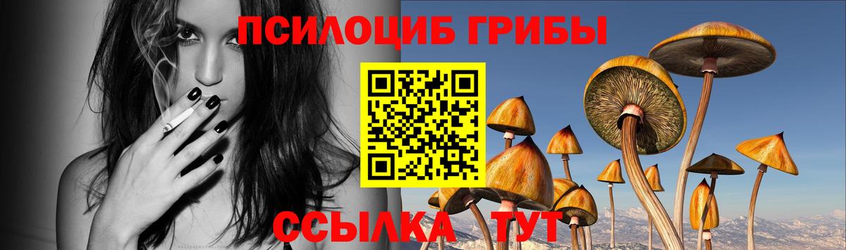 Галлюциногенные грибы Psilocybe Красноперекопск